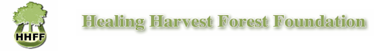 Healing Harvest Forest Foundation
